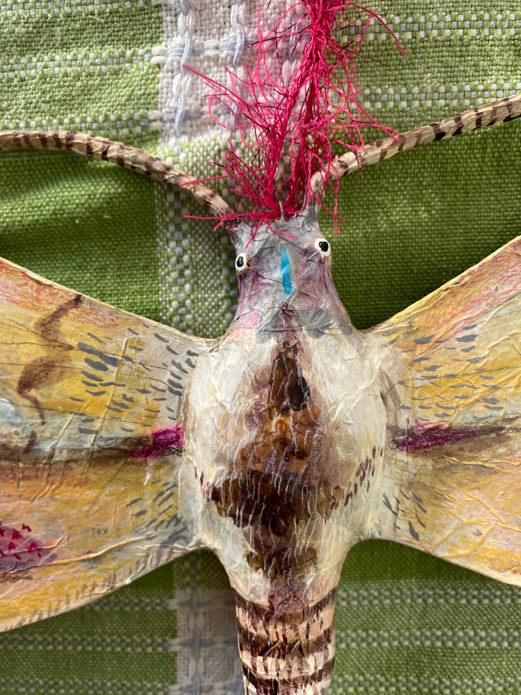 Image of Lovely Moth