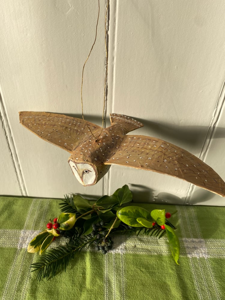 Image of Flying Barn Owl