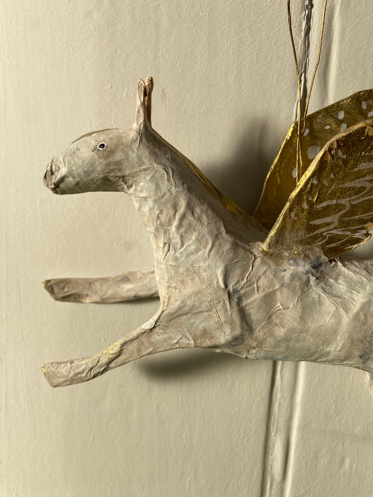 Image of Flying Pegasus