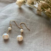 Image 3 of Natural White Freshwater Pearl Drop Earring 14k Gold Filled
