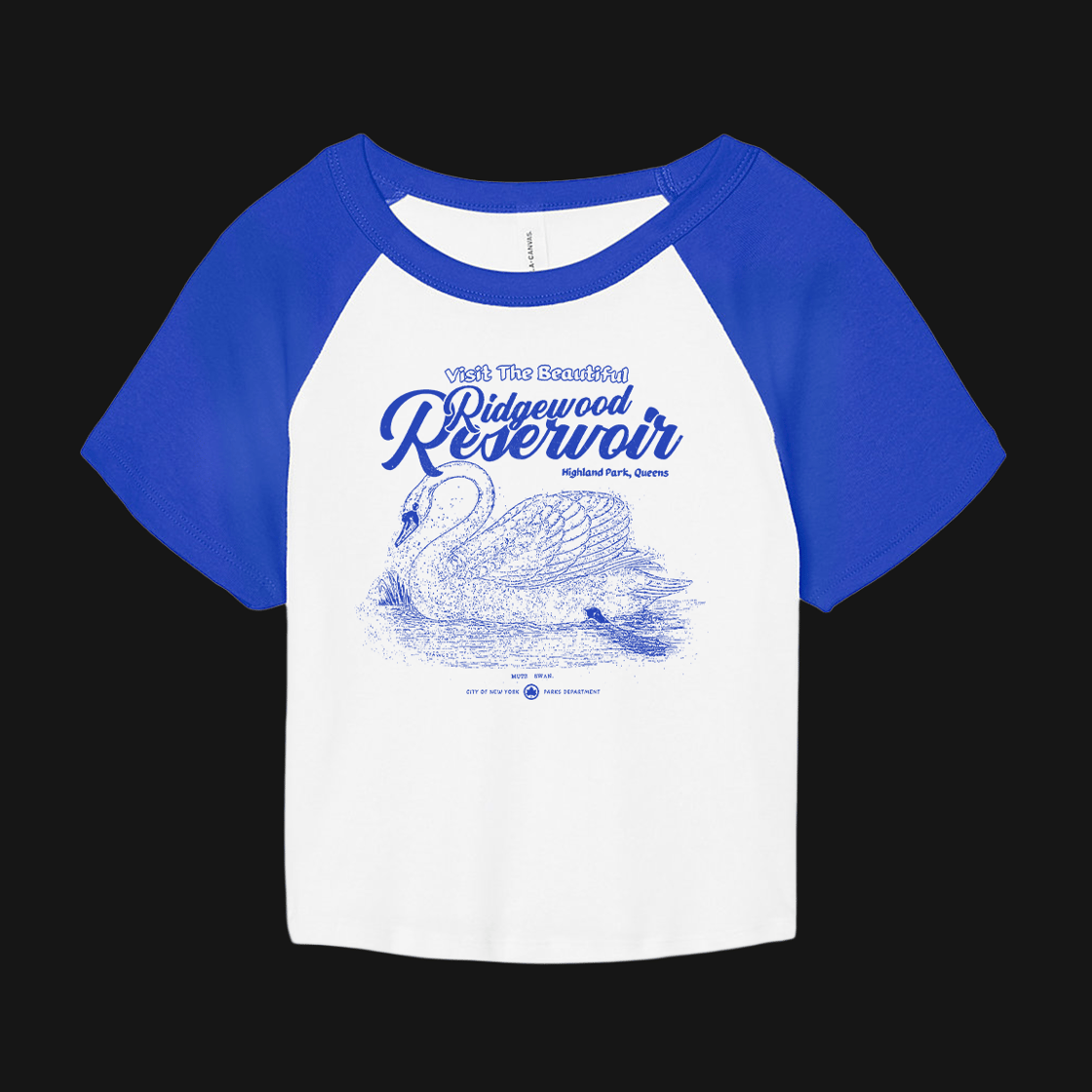Image of Ridgewood Reservoir Queens, NY Shirt - Women's Micro Rib Crop "baby" tee