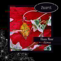 Image 5 of ☽ Ulmus Minor ☾