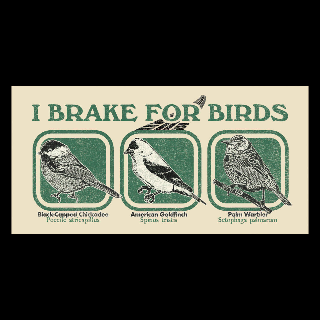 Image of I brake for birds 7.25x3.75 bumper sticker NY native birds