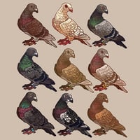 Image 2 of pigeon mystery box (keychain+sticker)