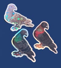 Image 7 of pigeon mystery box (keychain+sticker)
