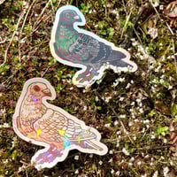 Image 9 of pigeon mystery box (keychain+sticker)