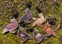 Image 10 of pigeon mystery box (keychain+sticker)