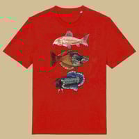Image 1 of T-shirt: Fish RED