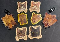 Image 3 of Magnets: cats
