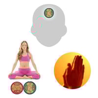 Image 3 of Life Activator™