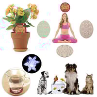 Image 5 of Life Activator™