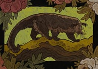 Binturong print