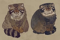 Image 1 of Manul keychains/stickers/magnets