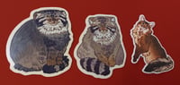 Image 2 of Manul keychains/stickers/magnets