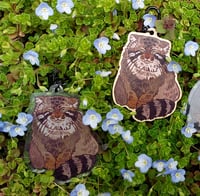 Image 5 of Manul keychains/stickers/magnets