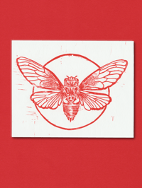 Cicada lino print 