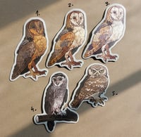 Image 2 of Bird magnets