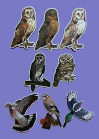 Image 1 of Bird magnets