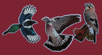 Image 3 of Bird magnets