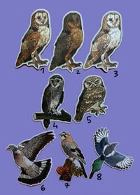 Image 4 of Bird magnets