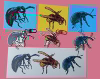 Image 1 of BUGS 2024 - keychains/stickers