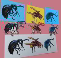 Image 5 of BUGS 2024 - keychains/stickers