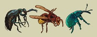 Image 2 of BUGS 2024 - keychains/stickers
