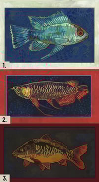 Fish postcards