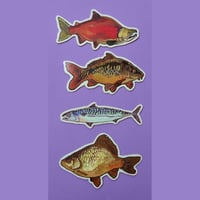 Image 2 of Fish set 2025 - print/stickers/magnets