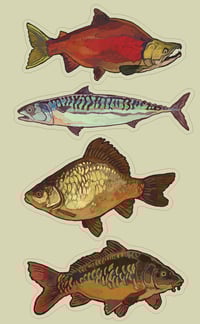 Image 4 of Fish set 2025 - print/stickers/magnets
