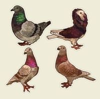 Image 1 of Pigeons - stickers/magnets/keychains