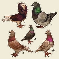 Image 2 of Pigeons - stickers/magnets/keychains