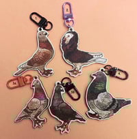 Image 6 of Pigeons - stickers/magnets/keychains