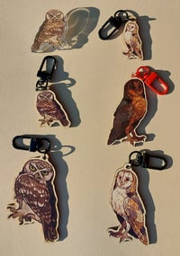 Image 1 of Owl/wood pigeon wooden/acrylic charms