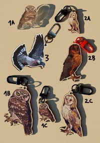 Image 3 of Owl/wood pigeon wooden/acrylic charms