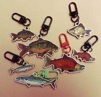 Image 1 of Acrylic and wooden fish charms I