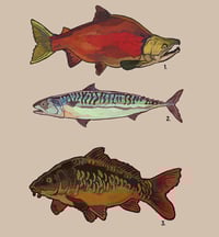 Image 4 of Acrylic and wooden fish charms I