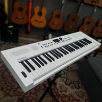 Image 3 of Roland GO:Keys 5 Digital Piano / Synthesizer