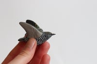 Image 1 of Murmuration - Starling One