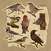 Image 2 of Bird sticker sheet 2025 I