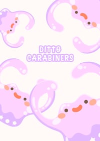 Image 1 of Ditto Carabiners