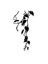 Ivy by Marcos Crane - Linoprint