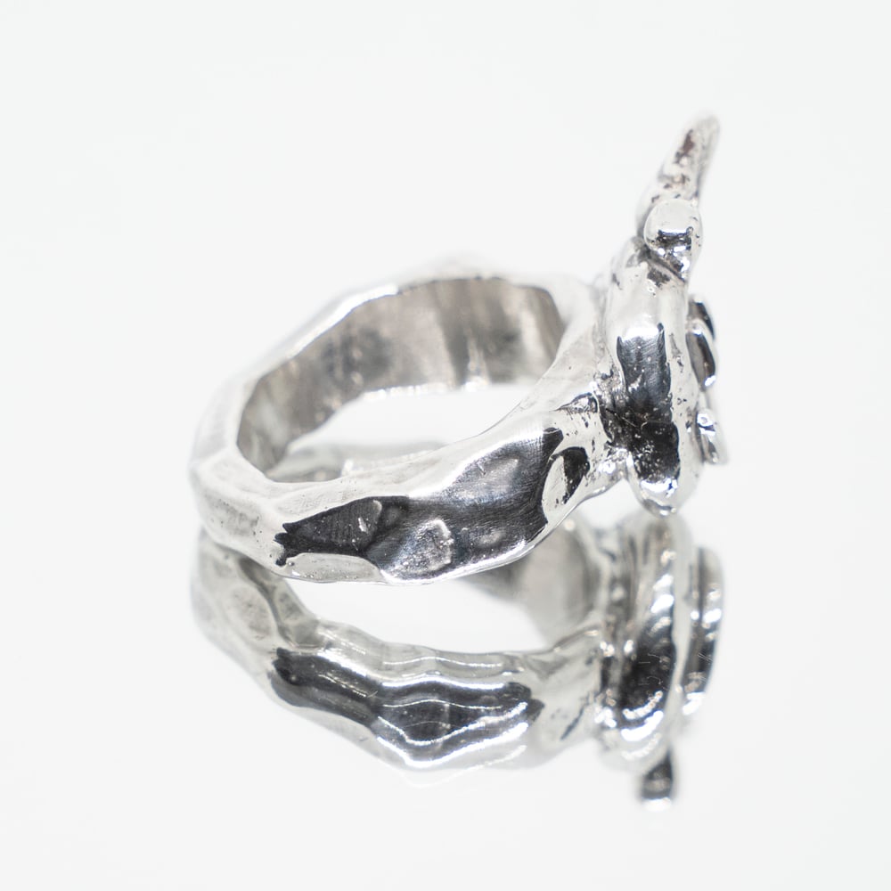 Image of APFEL Ring
