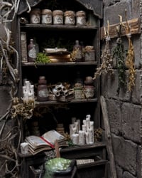 Image 12 of The Witch’s Apothecary