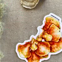 Image 1 of chicken of woods sticker