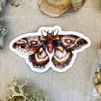 cecropia moth sticker