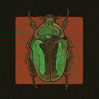 green beetle print