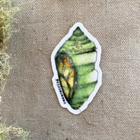 Image 2 of monarch chrysalis sticker