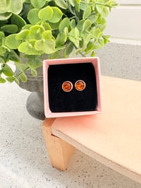 Amber Studs