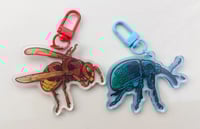 Image 6 of BUGS 2024 - keychains/stickers